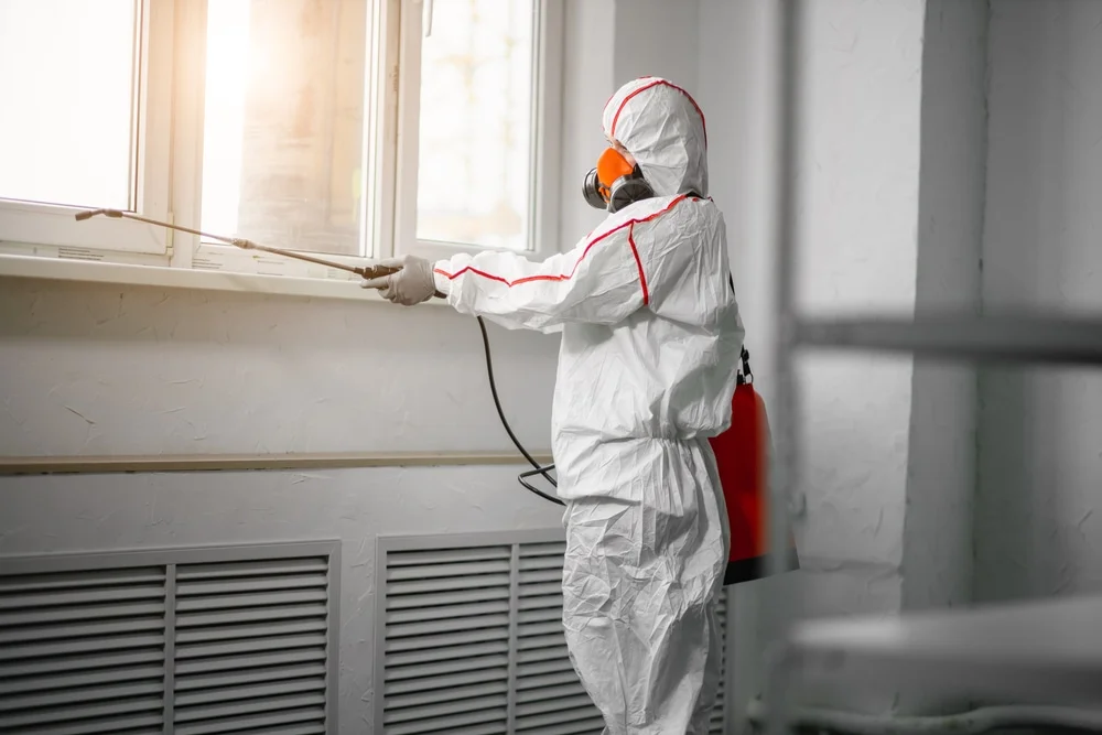 Professional mold remediation services in Winston, GA